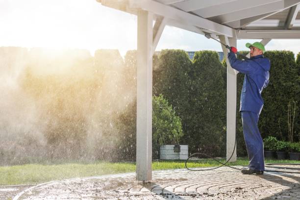 Pre-Holiday Cleaning in Carteret, NJ